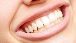 What are human teeth made of? Discover the four essential components of teeth and how they contribute to dental health.