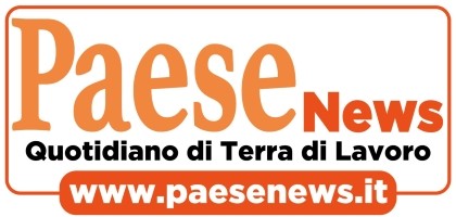 LogoPaesenews