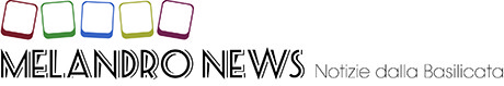logo_2015